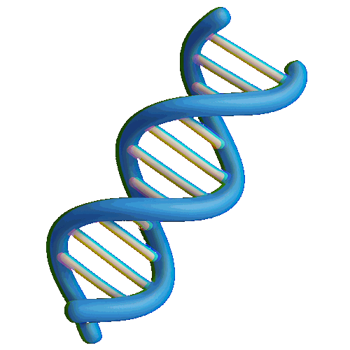ADN 3D transparent