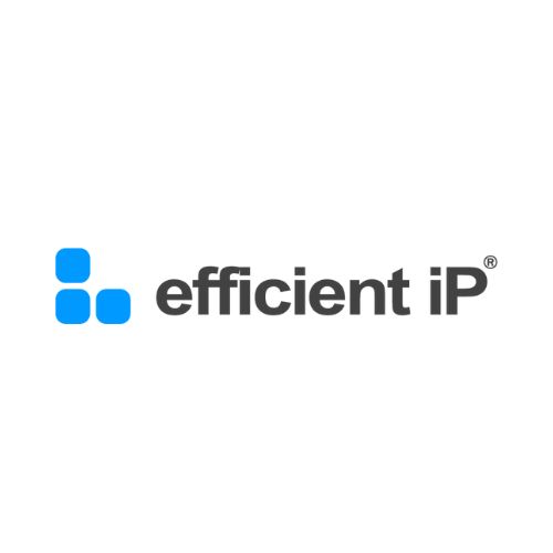 logo Efficient IP